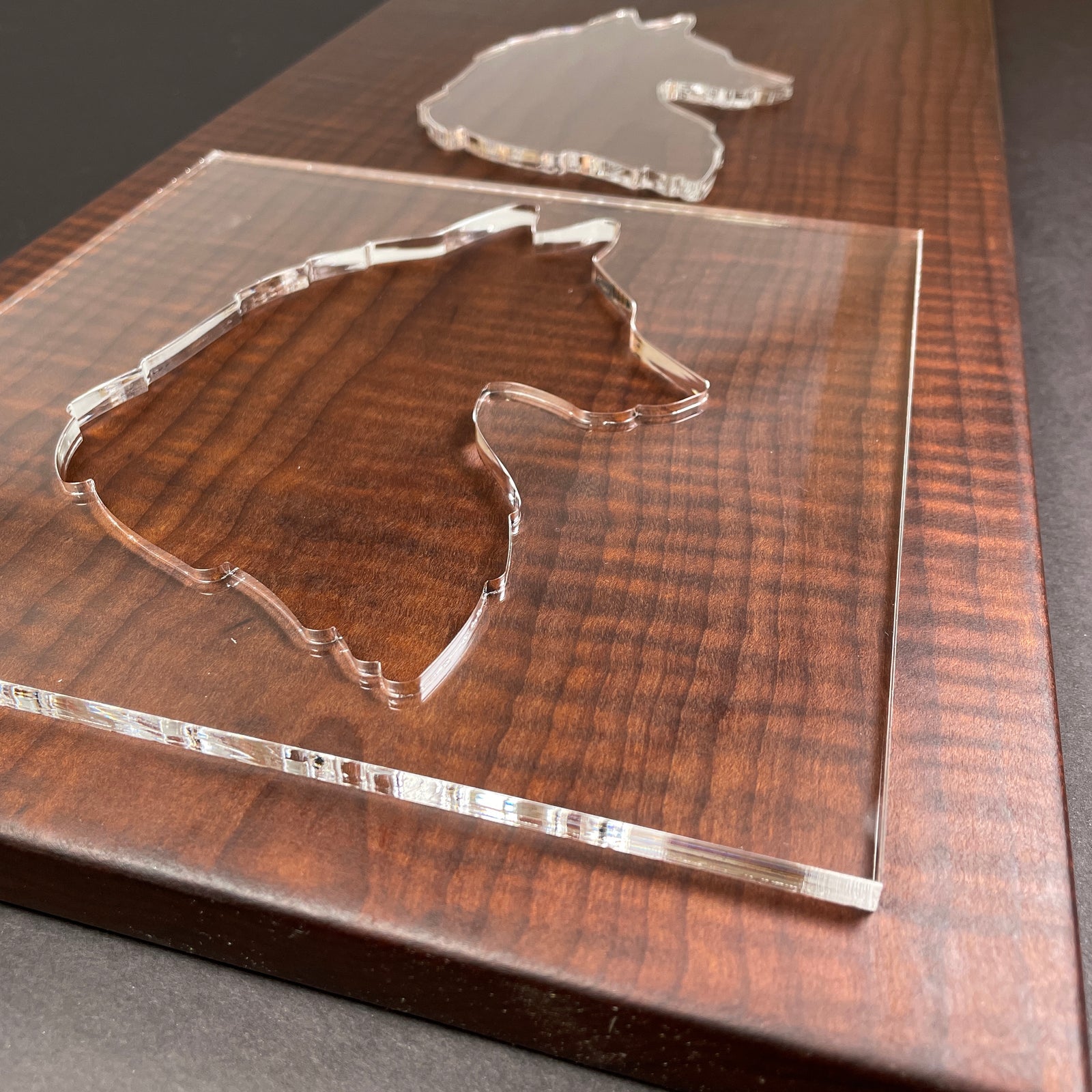 Wolf Portrait Template